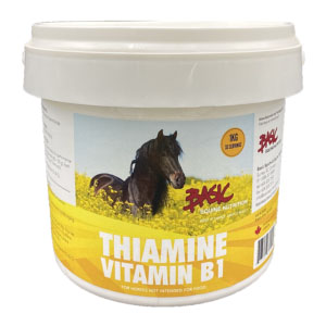 Equine Horse Herb Supplement High in B Vitamins Brewers Yeast Powder 1kg Bait 